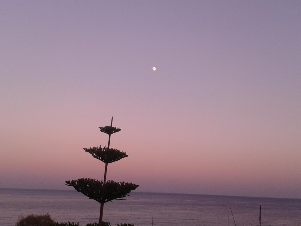 Apartmán Sunrise Flora Agia Marina  Exteriér fotografie