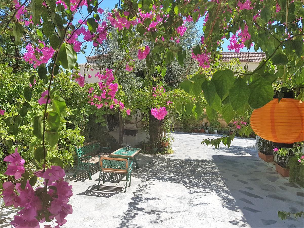 Apartmán Sunrise Flora Agia Marina  Exteriér fotografie